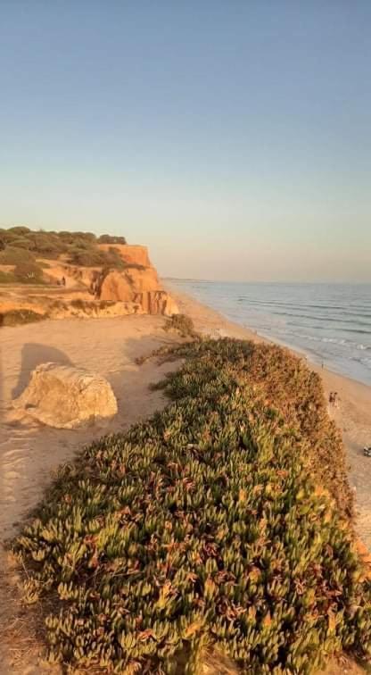Alfamar V3 Falésia Beach *